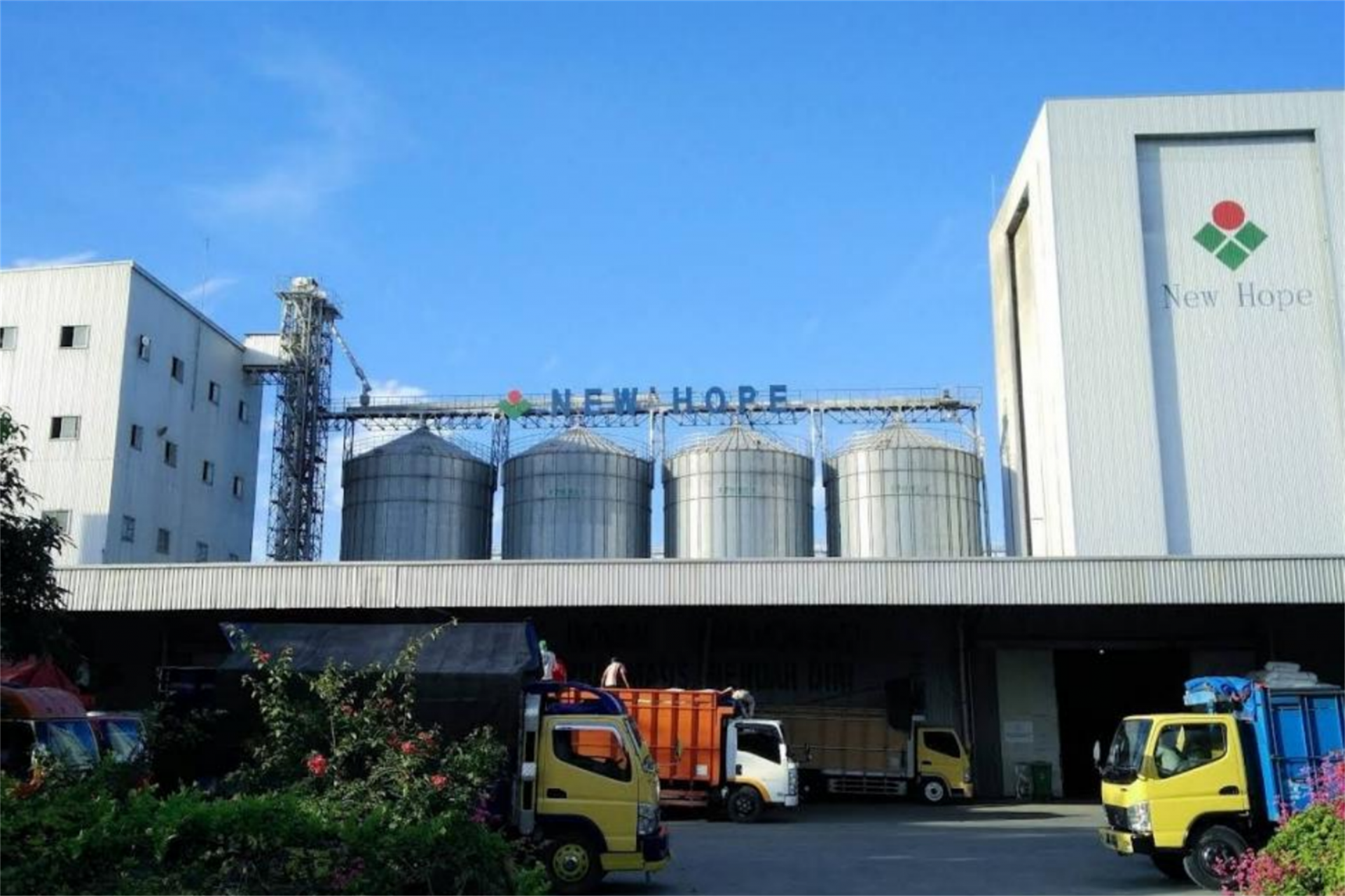 ABC case studies-pic