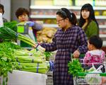 China January consumer prices likely to rise modestly