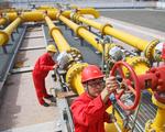 China gas supplies to exceed 360 bln cubic meters