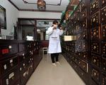 China adopts law on traditional medicine 