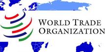 China Voice: China's WTO entry benefits world 