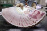 China sees growing "Panda bond" issuance: central bank 