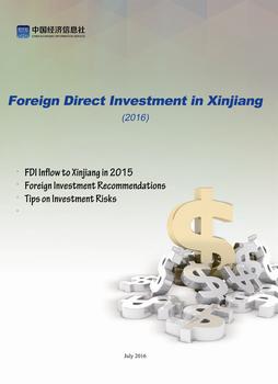Foreign Direct Investment in Xinjiang (2016)