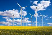 China's wind power capacity continues to grow 