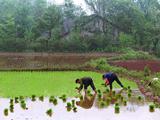 China's land of plenty faces acute land shortage