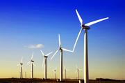 China highlights ecological protection in offshore wind power development