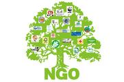 China issues first certificates for overseas NGOs 