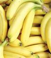 EU banana growers to receive protection under trade deal with Ecuador