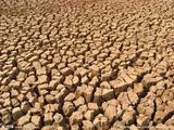 Ethiopia calls for more support to tackle drought 