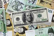 S.Korean currency's volatility rises on uncertainty about new U.S. gov't 