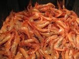 Vietnam's shrimp exports forecast to face market difficulties in 2017: association 