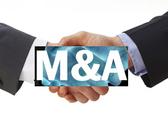 Chinese financial M&A remain buoyant in 2016: report 