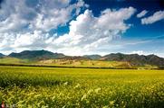 Funds fundamental for key ecological functional zones 