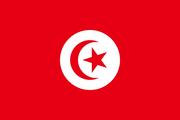 Tunisia launches national plan to creat 30,000 jobs