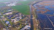 Overseas experts expect China's new economic zone to deepen all-round opening up 