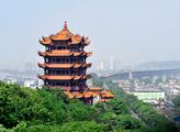Central China becoming ideal destination for foreign investment: MOC 