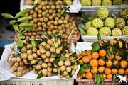 China remains largest consumer of Vietnam's fruit, vegetable in 4 months