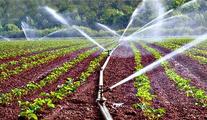 Chinese grant helps build Kyrgyzstan's irrigation facilities 