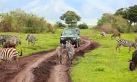 Tanzania launches new agency to improve rural roads 