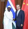 China to cooperate with Gambia in infrastructure, agriculture, tourism 