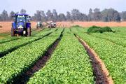 China allocates funds to develop eco-agriculture 