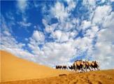  China turns Kubuqi Desert from dust into wealth 