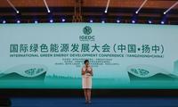International Green Energy Development Conference held in Yangzhong, Jiangsu