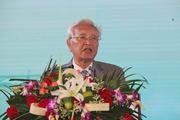 Photovoltaic power: a grass-roots industry rising in China, Zhang Guobao