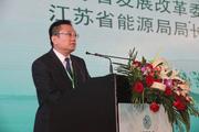 Hang Hai: Jiangsu develops green energy via regional demonstration projects