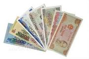 Vietnam's foreign currency lending skyrockets in 8 months