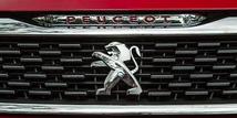   Dongfeng Peugeot Citroen recalls 2,317 vehicles with faulty tires 