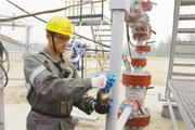 Chinese enterprise buys into Eastern Siberia's largest oil & gas field project