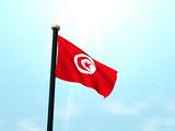 Foreign investment in Tunisia up 13.6 pct in 9 months 