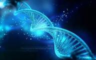   China to create gigantic DNA database