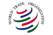 China asks WTO members to safeguard multilateral trade 