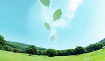 Chinese, Dutch eco-restoration companies join hand