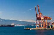 China's Jan.-Nov. outbound investment falls 33.5 pct 