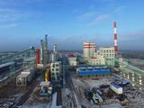 Pulp mill built by Chinese firm in Belarus starts operation