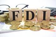 Services sector emerges as key to FDI in China