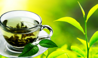 China province sees robust tea export growth 