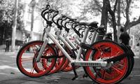 China's bike-sharing giant sues over illegal advertisements 