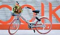 Bike-share company Mobike on four wheels in SW China