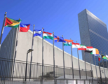 6 countries assume responsibilities as non-permanent members of Security Council 