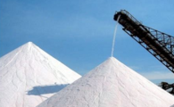 China revises regulation to reform salt industry 