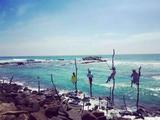 Sri Lanka to ink agreement with China's Alibaba to attract more tourists