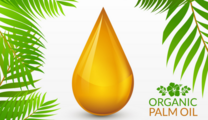 Malaysia's palm oil exports set to rise following export tax suspension 