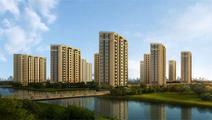 Chinese cities fine-tune policies to steer housing market growth
