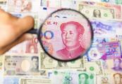 Two-way movements expected for RMB exchange rate: forex official 