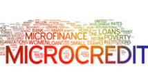 China sees fewer micro-credit firms in 2017 