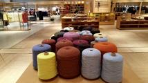 Mongolia moves to boost cashmere industry    